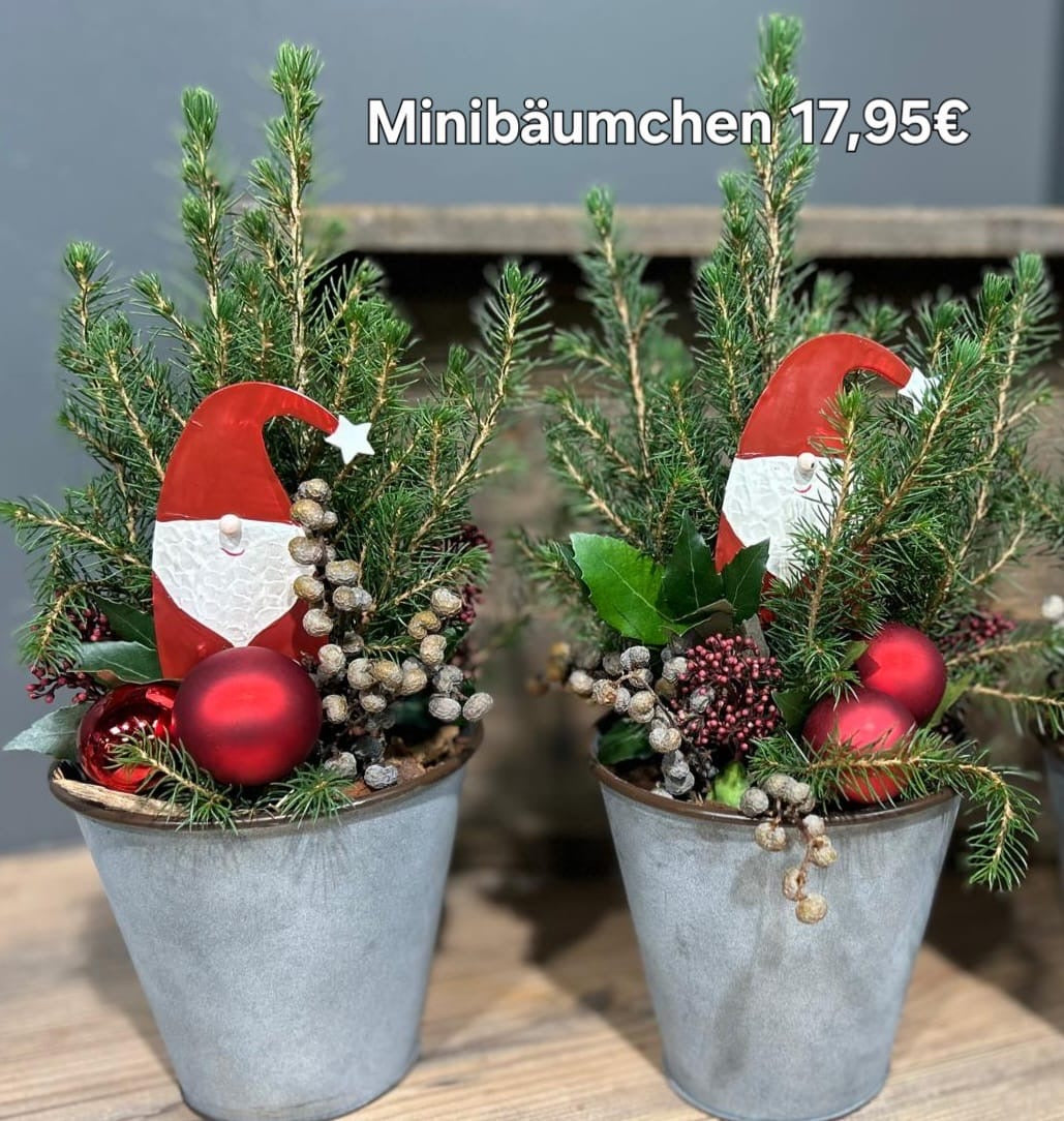 Minibäumchen