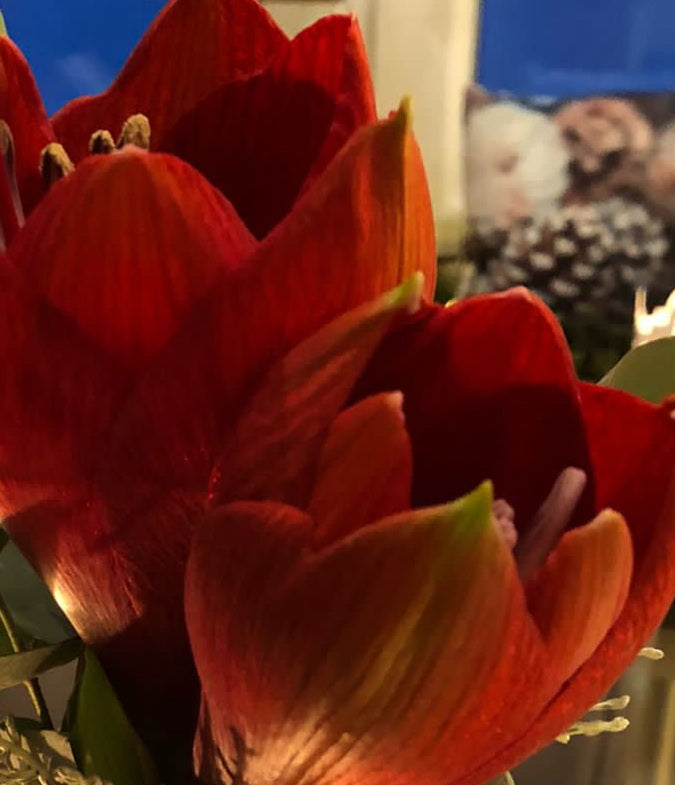 Workshop Donnerstag 19.12.23 / 18 Uhr
