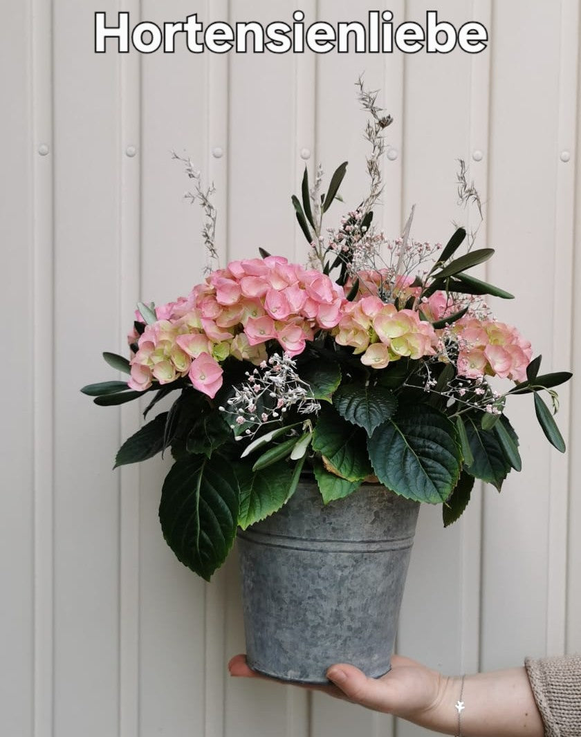 Hortensienliebe