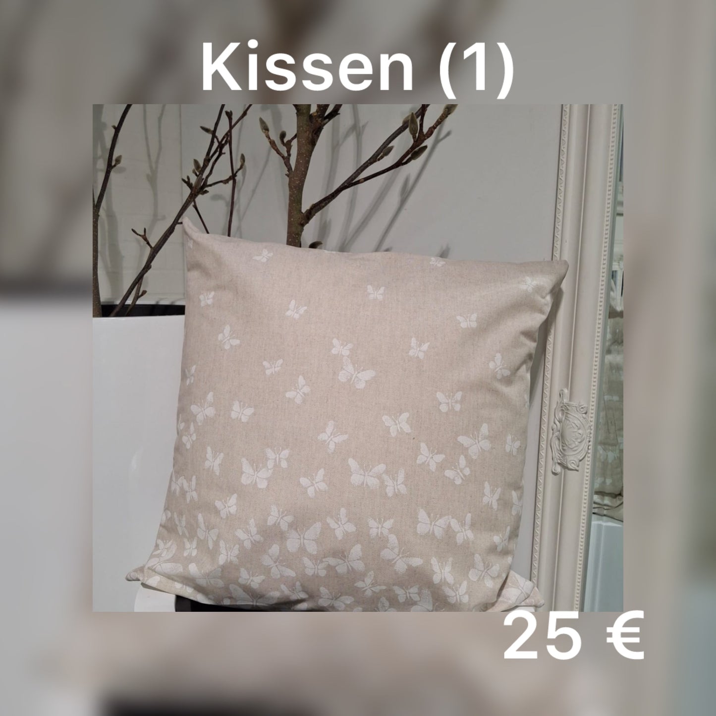 Kissen 1