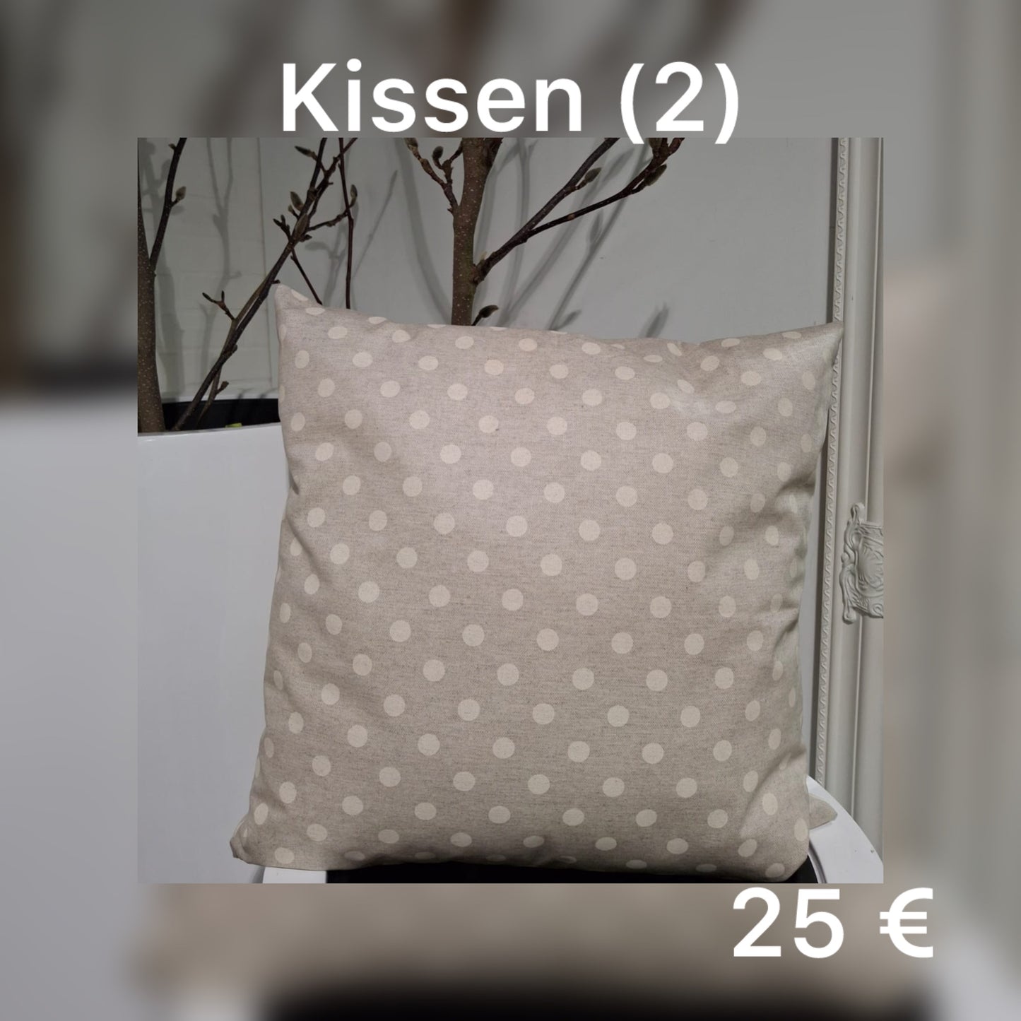 Kissen 2