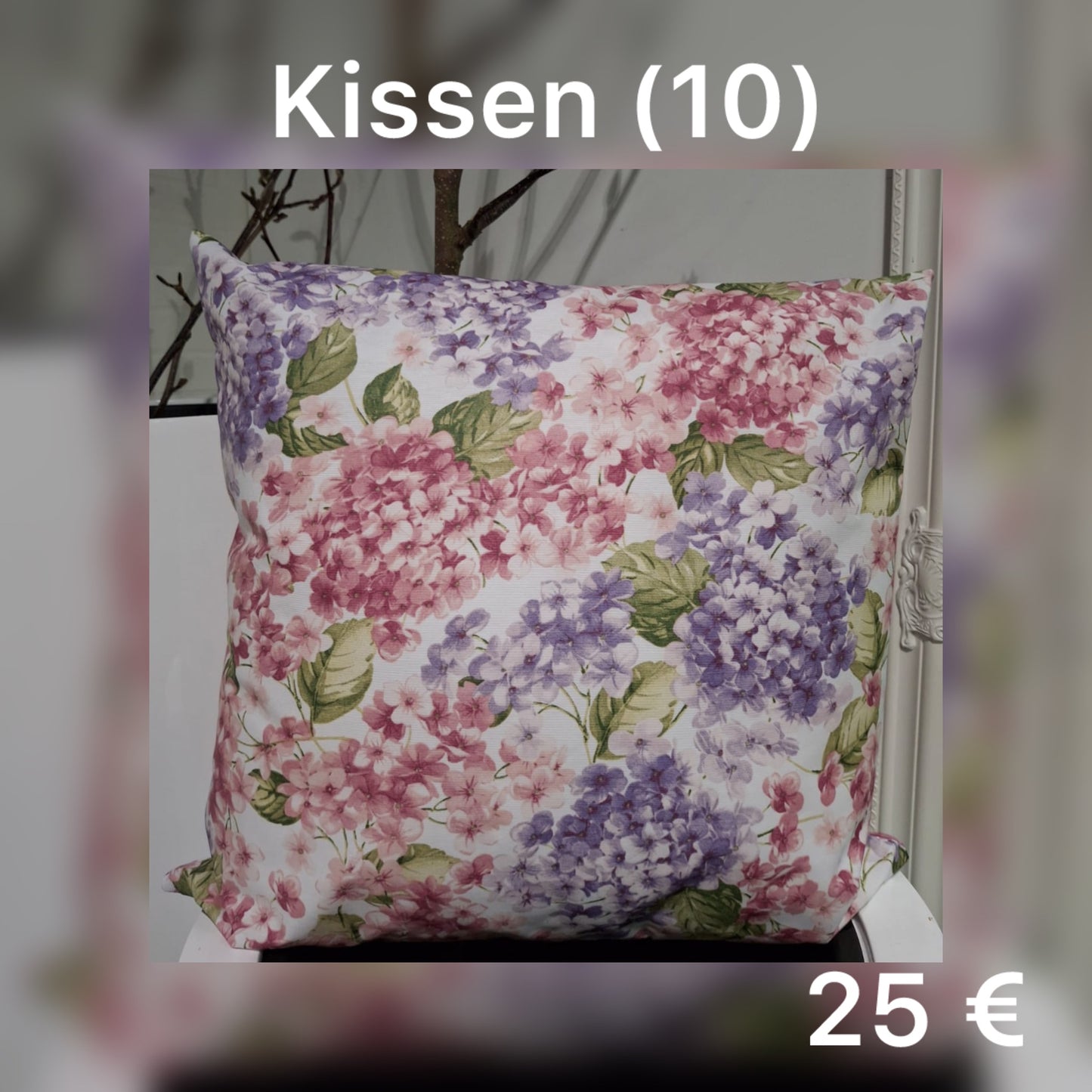Kissen 10