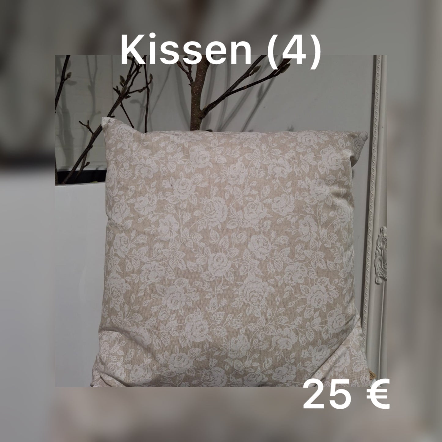 Kissen 4