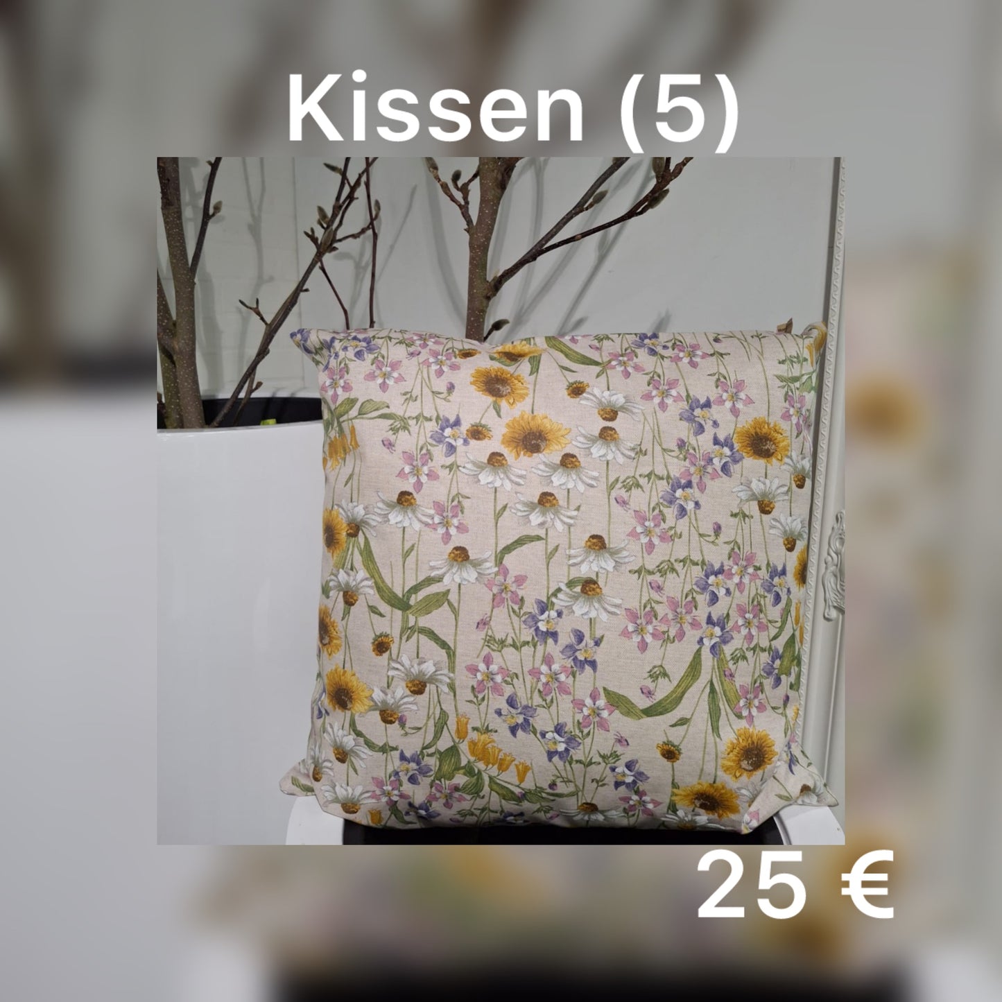 Kissen 5