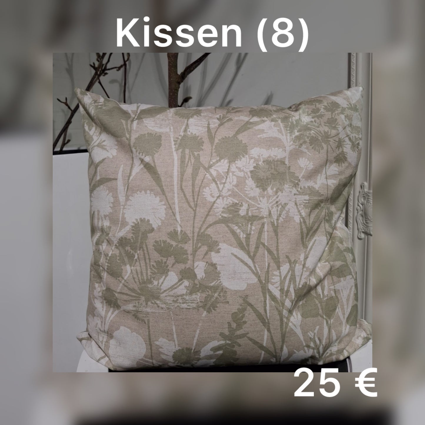 Kissen 8