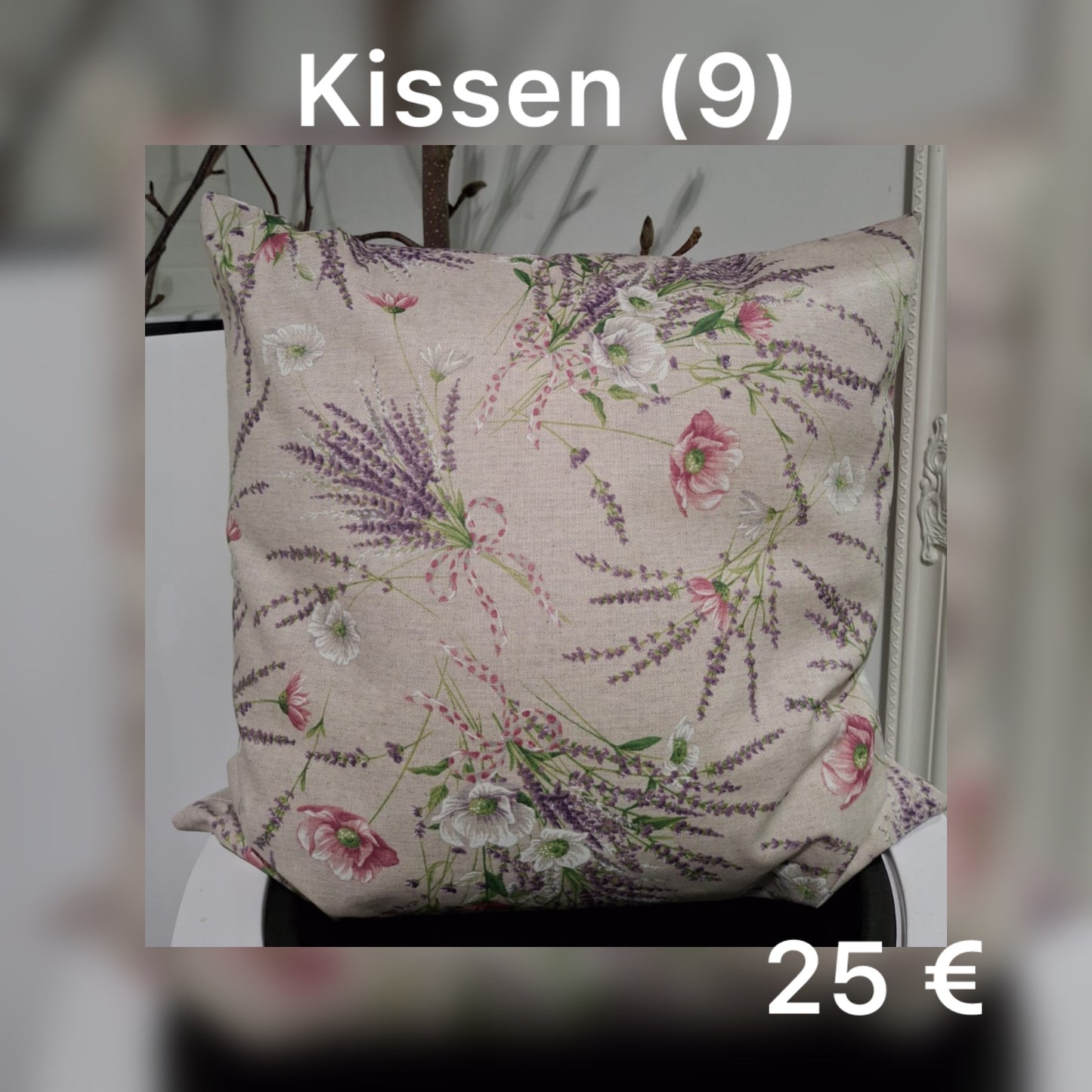 Kissen 9