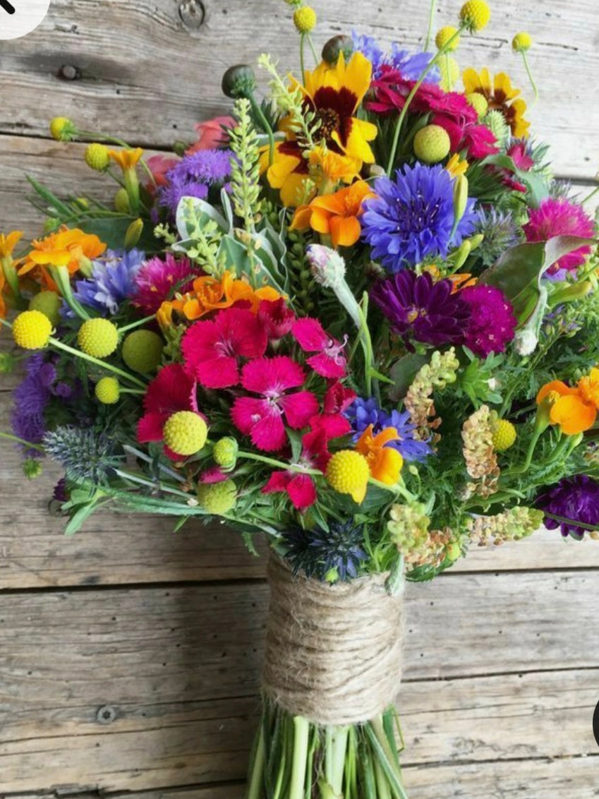 Workshop 28.05.26 Mutter- /Tochter Workshop