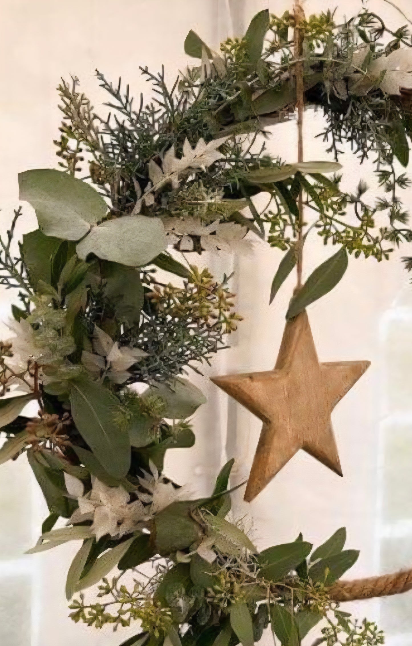 Workshop 08.10.26 Natürlicher Herbst- Winter Loop