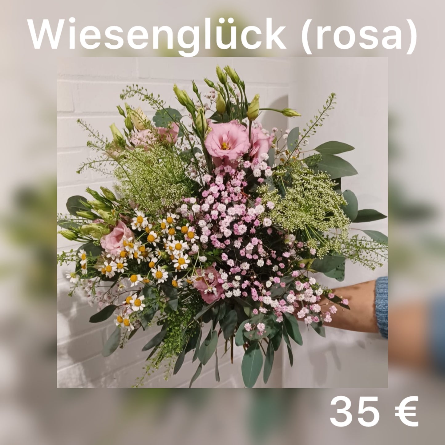 Wiesenglück (rosa)