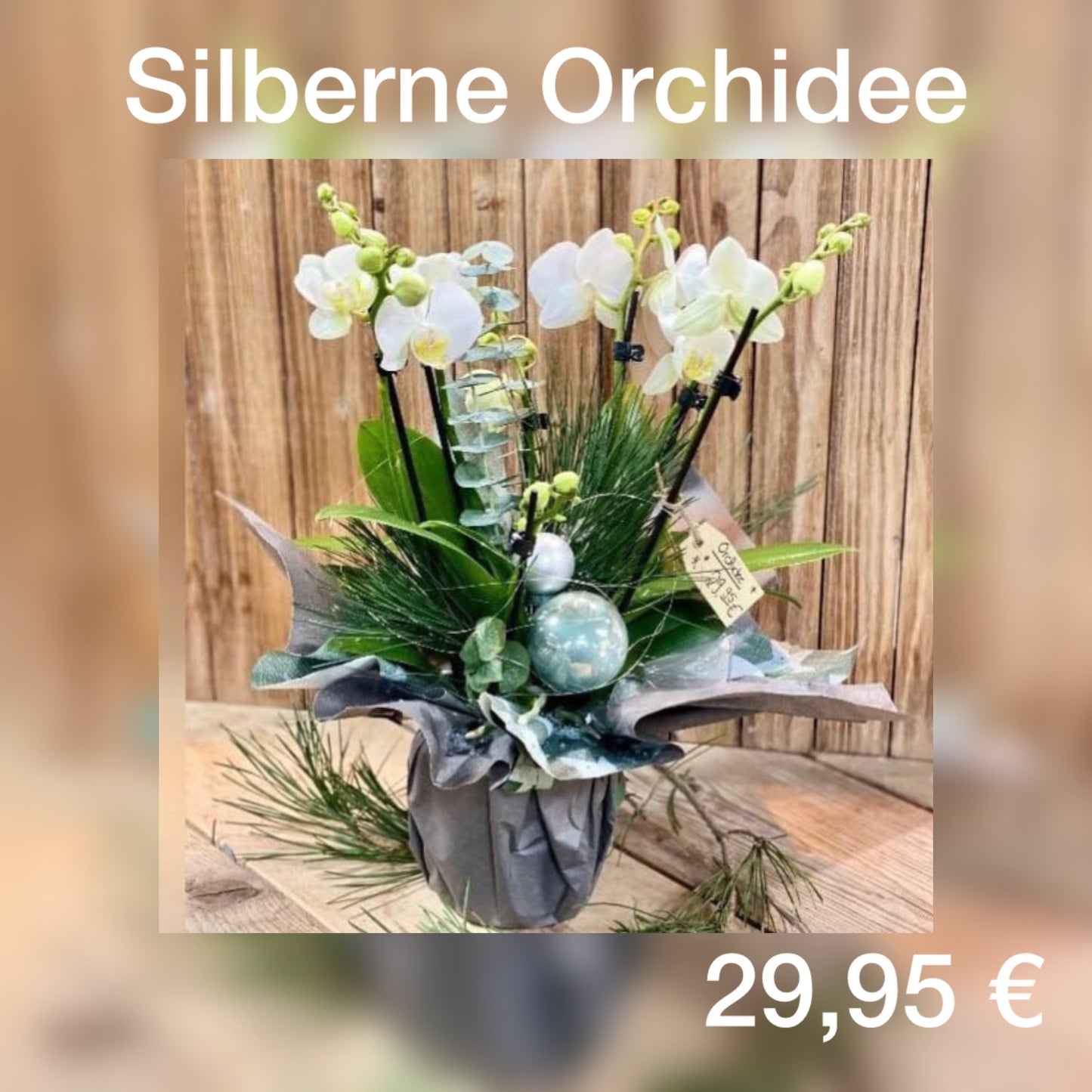 Weihnachten silberne Orchidee