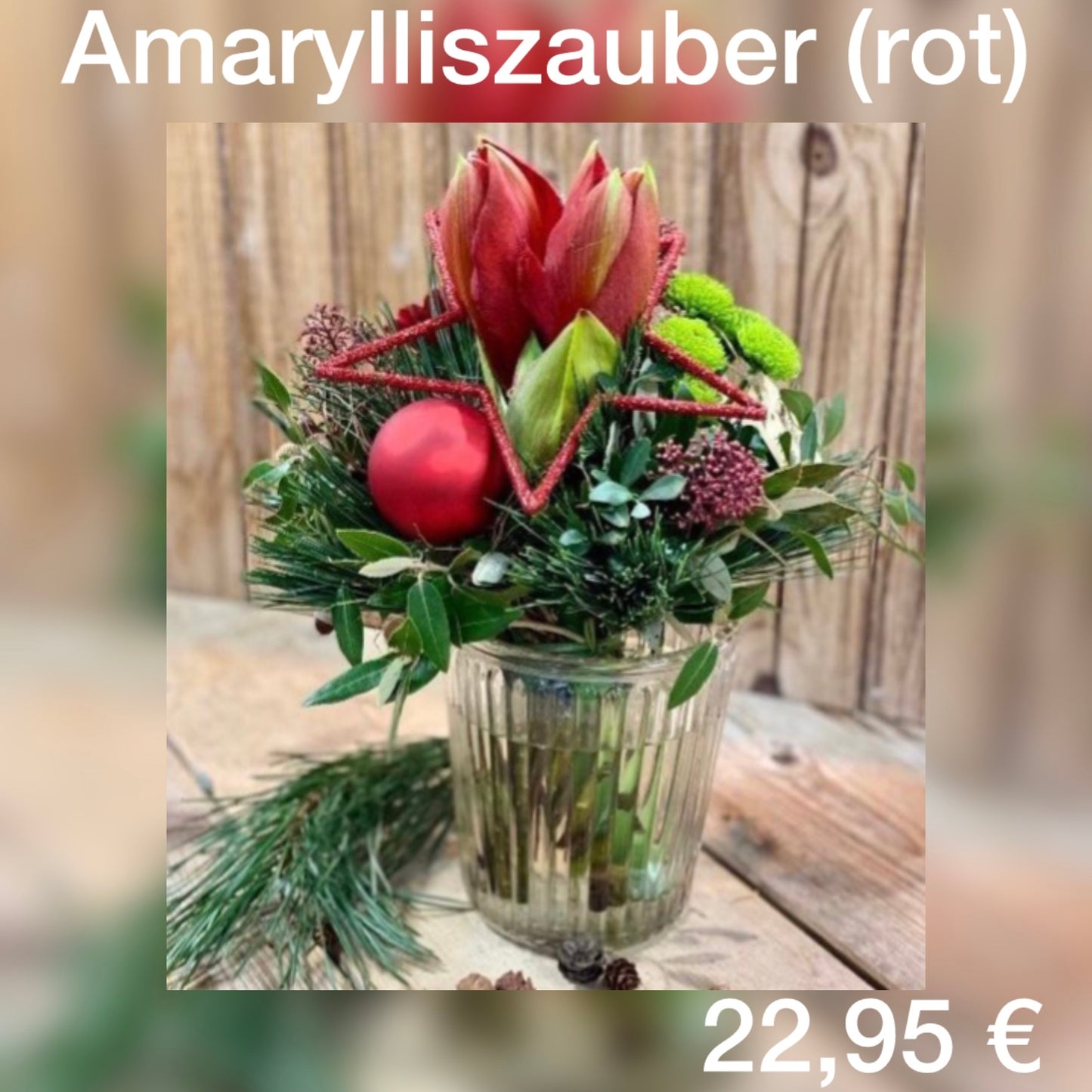 Weihnachten Amarylliszauber (rot)
