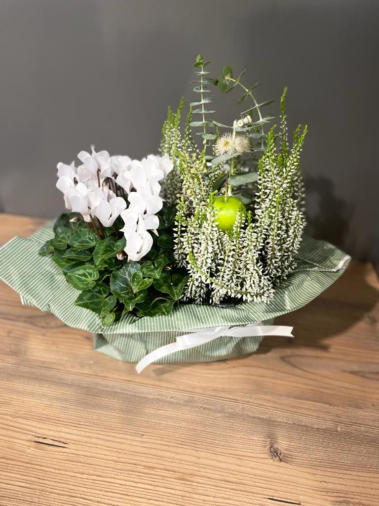 Weihnachts- Specials