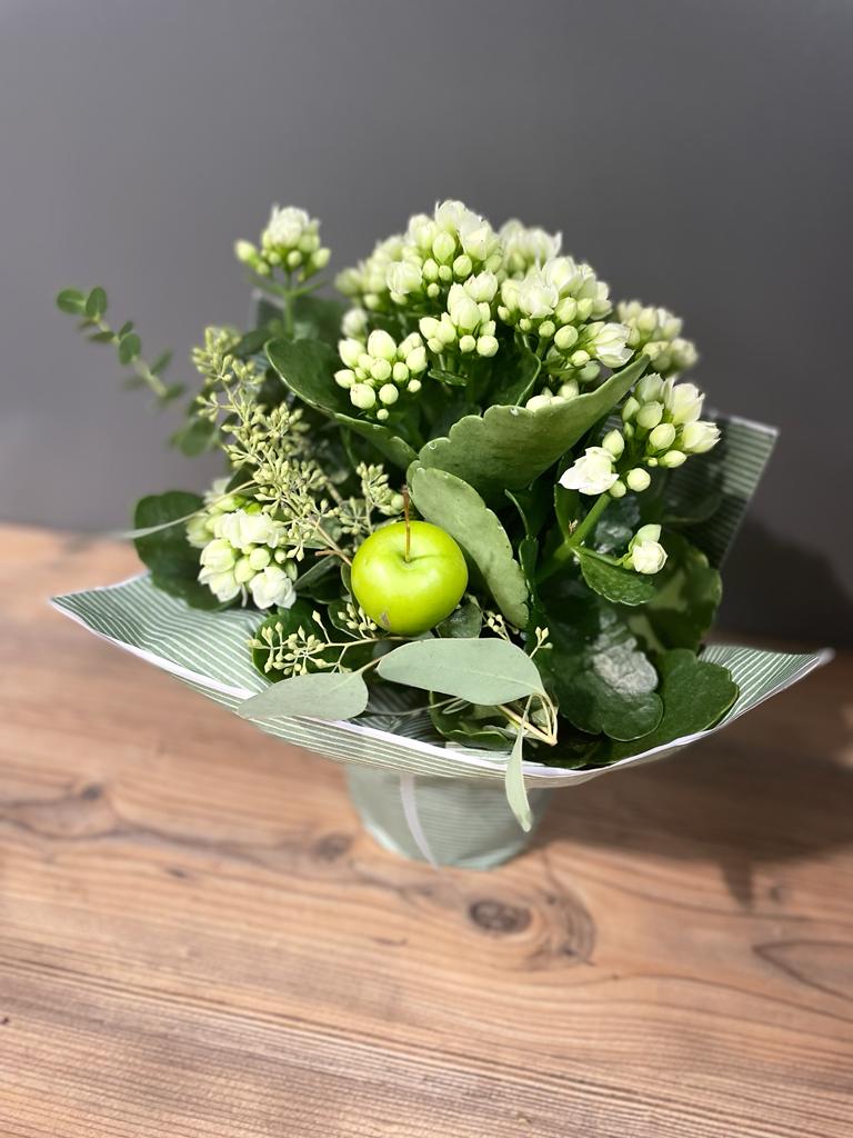 Weihnachts- Specials
