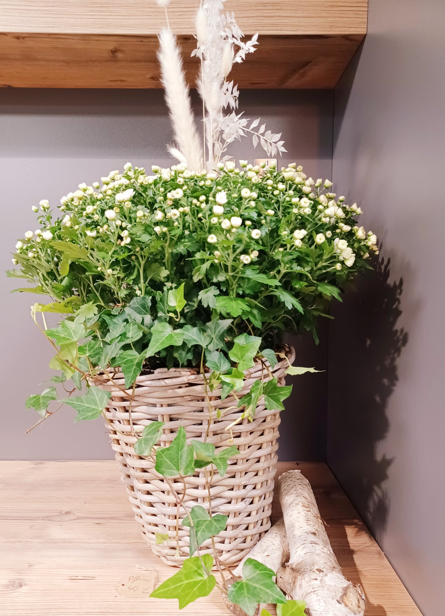 Weihnachts- Specials