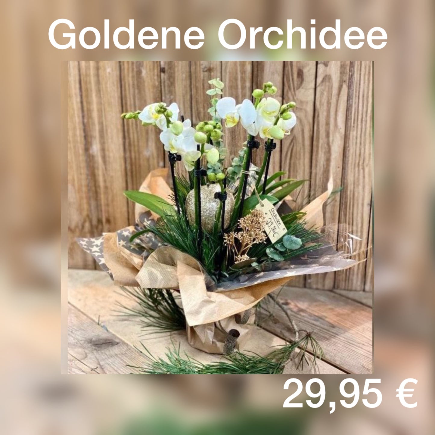 Weihnachten goldene Orchidee