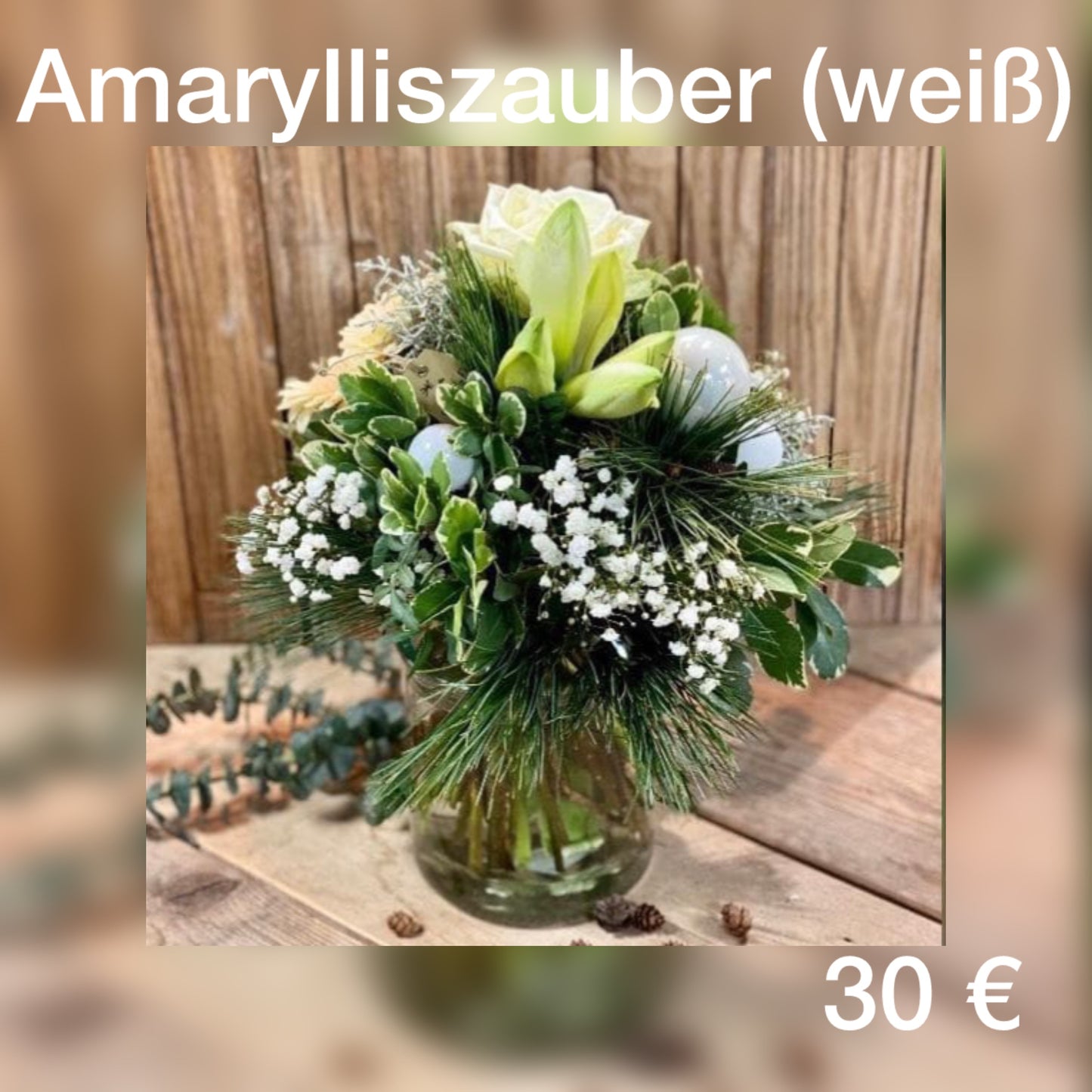 Weihnachten Amarylliszauber (weiß)