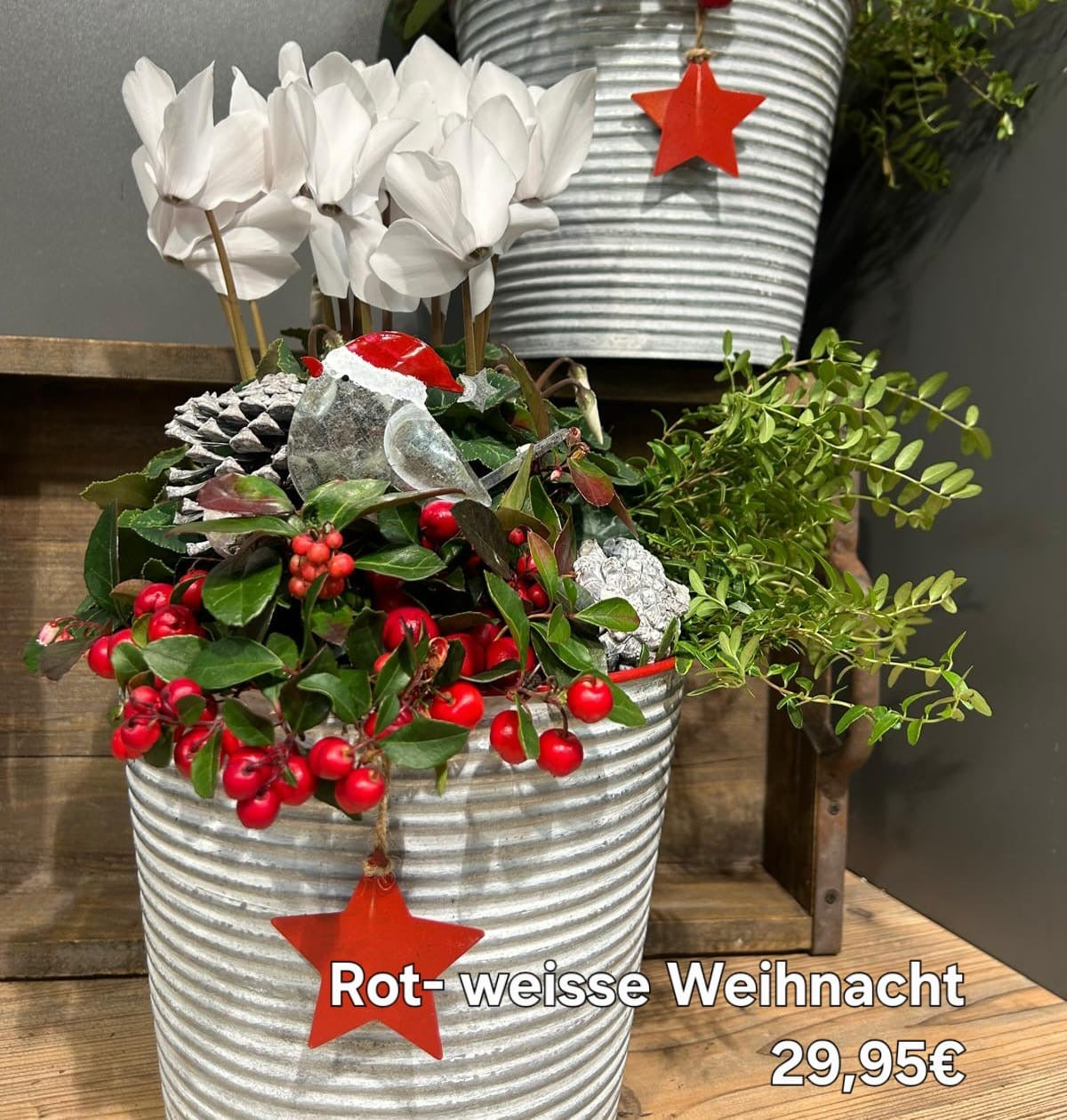 Rot-weiße Weihnacht